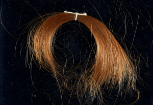 A lock of hair