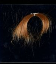 A lock of Mary Hamilton's hair